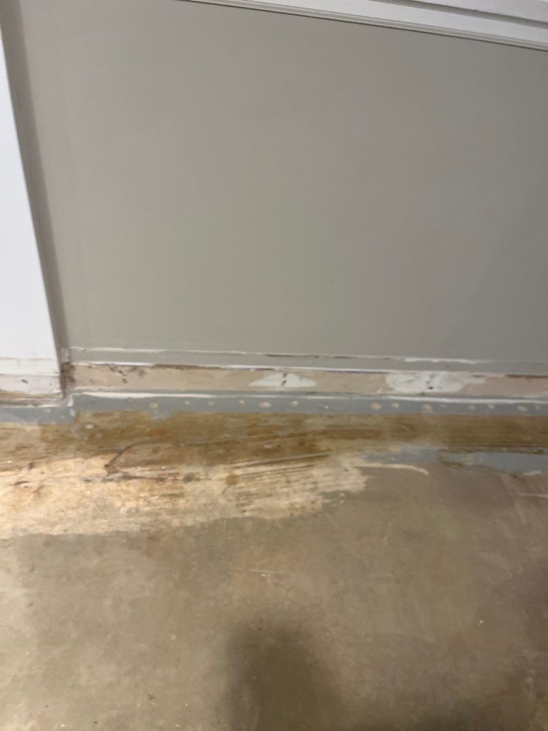 Safe and Efficient Black Mold Removal in Haddonfield